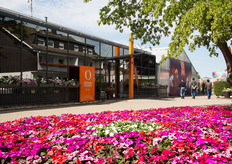 Ook in Rheinberg (Duitsland) opende Dümmen Orange haar deuren. Op de foto het kantoor van Dümmen Orange waar ook de trials werden georganiseerd. 